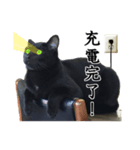 やさぐれ黒猫（個別スタンプ：7）