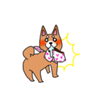 柴犬ペコちゃん（個別スタンプ：5）
