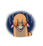 柴犬ペコちゃん（個別スタンプ：6）