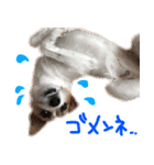 ジャックラッセルテリアのひまわり（個別スタンプ：18）
