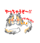 シェルティーフレンズ2（個別スタンプ：14）