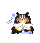 シェルティーフレンズ2（個別スタンプ：18）