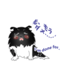 シェルティーフレンズ2（個別スタンプ：21）