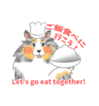 シェルティーフレンズ2（個別スタンプ：24）