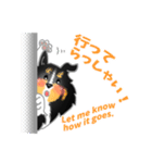 シェルティーフレンズ2（個別スタンプ：27）