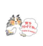 シェルティーフレンズ2（個別スタンプ：29）