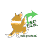 シェルティーフレンズ2（個別スタンプ：33）