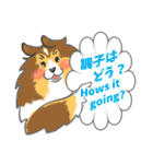 シェルティーフレンズ2（個別スタンプ：36）