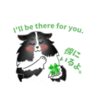 シェルティーフレンズ2（個別スタンプ：37）