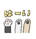 わんにゃんわん（個別スタンプ：13）