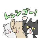 わんにゃんわん（個別スタンプ：38）