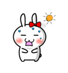 cookie rabbit（個別スタンプ：24）