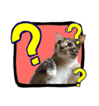 猫ミポの日常（個別スタンプ：2）