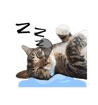 猫ミポの日常（個別スタンプ：13）