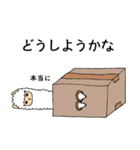 あるぱかまってちゃん（個別スタンプ：38）