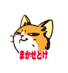 無難な日常会話用・ねこすた（個別スタンプ：20）