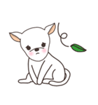 Call me Mesa（個別スタンプ：23）