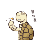 Tortoise diary - Part.5（個別スタンプ：10）