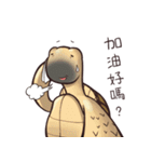 Tortoise diary - Part.5（個別スタンプ：12）