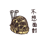 Tortoise diary - Part.5（個別スタンプ：35）