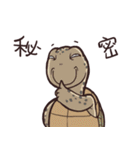 Tortoise diary - Part.5（個別スタンプ：38）