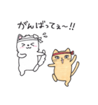 まさお＆ミティのゆるゆるライフ（個別スタンプ：13）