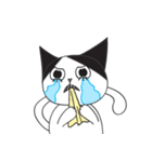 dropping eyelashes cat（個別スタンプ：29）