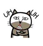 白猫と茶猫（個別スタンプ：38）