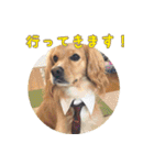 イケメン犬「リオ」の日常会話（個別スタンプ：2）