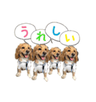 イケメン犬「リオ」の日常会話（個別スタンプ：4）