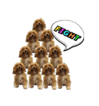 イケメン犬「リオ」の日常会話（個別スタンプ：5）