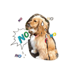 イケメン犬「リオ」の日常会話（個別スタンプ：12）