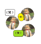 イケメン犬「リオ」の日常会話（個別スタンプ：18）