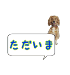 イケメン犬「リオ」の日常会話（個別スタンプ：30）