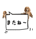 イケメン犬「リオ」の日常会話（個別スタンプ：37）
