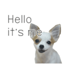 MeeMee and HengHeng（個別スタンプ：9）