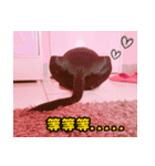Dog＆MI（個別スタンプ：3）