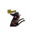 Dog＆MI（個別スタンプ：7）