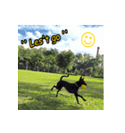 Dog＆MI（個別スタンプ：8）