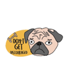 Thonggon, a nice pug in May（個別スタンプ：11）