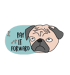 Thonggon, a nice pug in May（個別スタンプ：13）