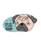 Thonggon, a nice pug in May（個別スタンプ：15）