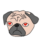 Thonggon, a nice pug in May（個別スタンプ：18）