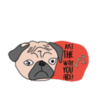 Thonggon, a nice pug in May（個別スタンプ：19）