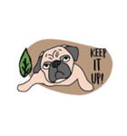 Thonggon, a nice pug in May（個別スタンプ：20）