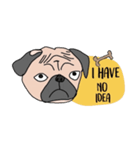 Thonggon, a nice pug in May（個別スタンプ：25）