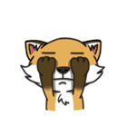 Bernie the fox's daily life（個別スタンプ：38）