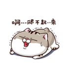 fat cat Ami 2（個別スタンプ：36）