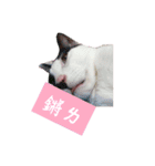 yenyenfashi（個別スタンプ：8）