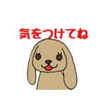 うさいぬさん(茶色Ver.)（個別スタンプ：24）